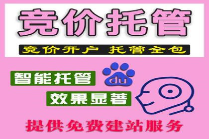 案例解读：竞价托管如何提升广告效果